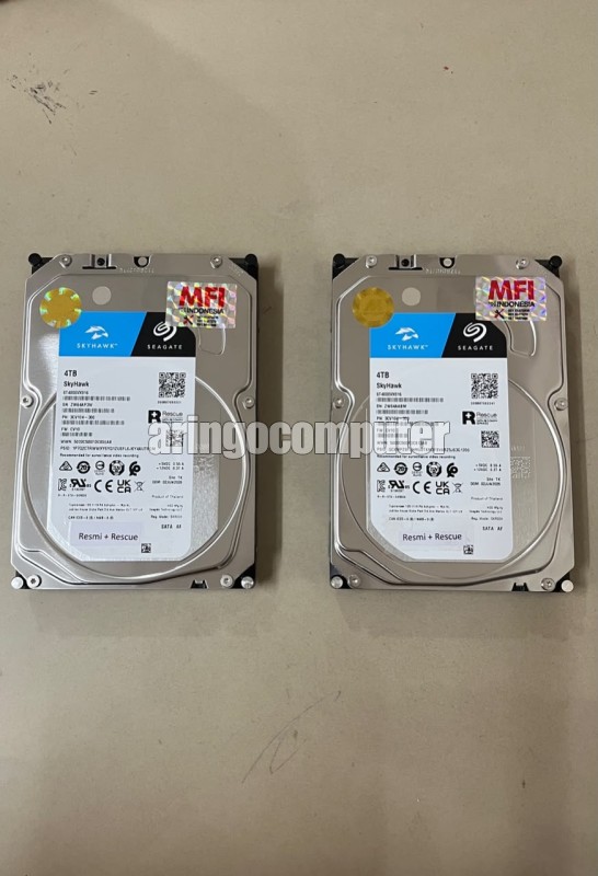 Internal SKYHAWK 4TB SATA CCTV (Resmi + Rescue)
